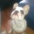 sooz_1_3