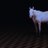 stagefright__