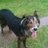 sue_platts