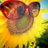 sunshine2791