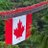 tom_canadien
