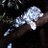 unclerico82_