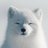 whitefoxdiff