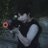 xiuflavour