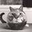 zfatcat2